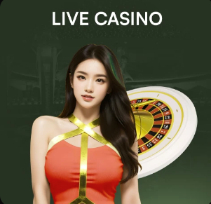 回家真好，见到家人们真好，一起继续拼搏！💚💚💚